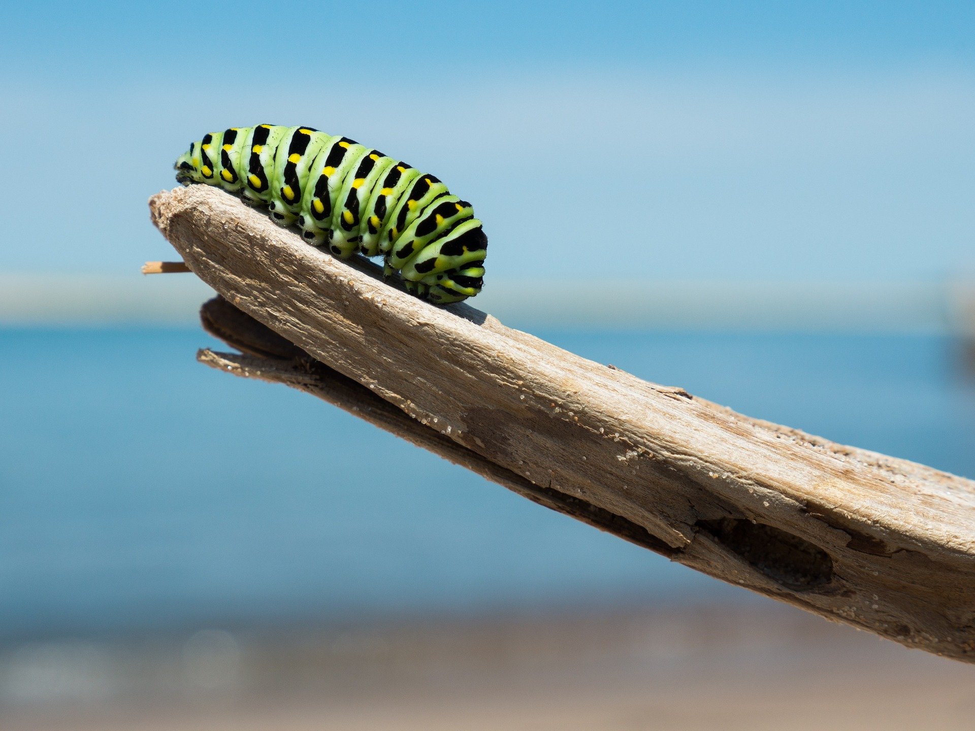 Transformational Blog